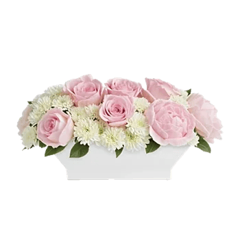 Delicate Petal Cascade