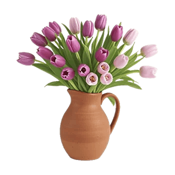 Velvet Tulip Display