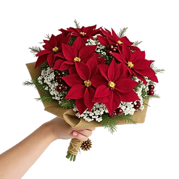 Crimson Rose Elegance