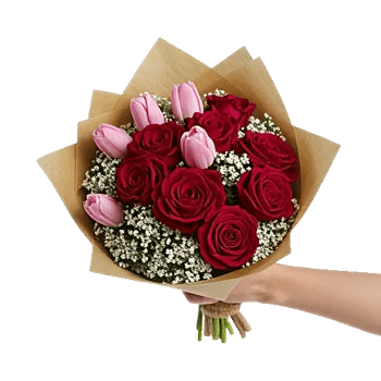 Crimson Rose Elegance