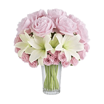 Petal Radiance Bliss