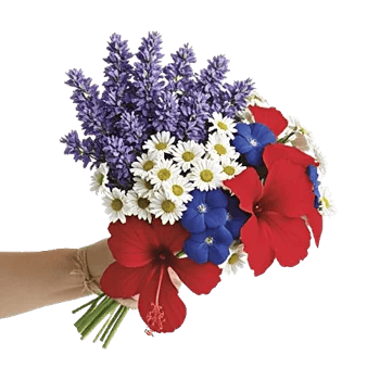 Rosemary Bloom Elegance