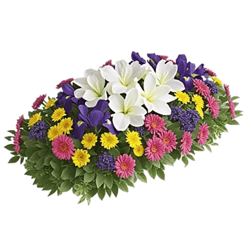 Delicate Petal Cascade