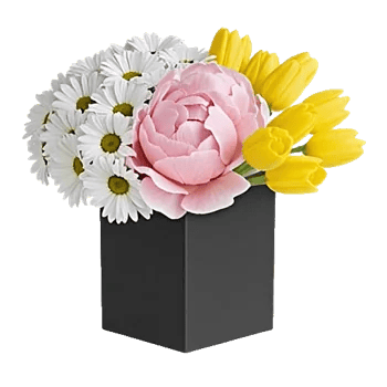 Petal Radiance Bliss