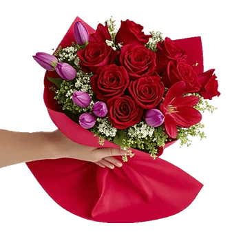 Crimson Rose Elegance