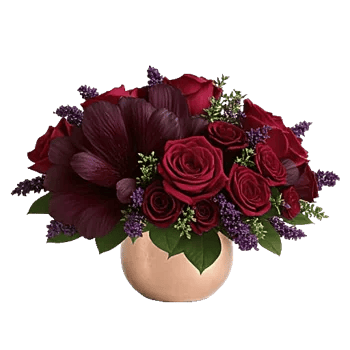 Deep Red Foliage