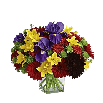 Crimson Blossom Harmony