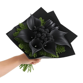 Elegant Calla Lilies