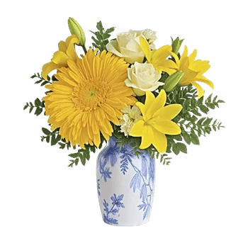 Minimalist White Orchids