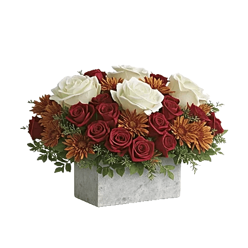 Autumnal Rose Blend