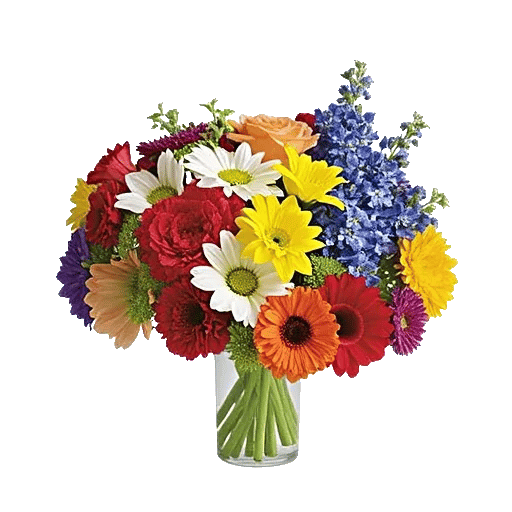 Ivory Blossom Radiance