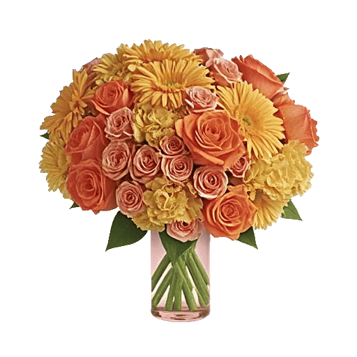 Blushing Rose Symphony