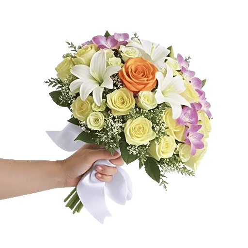 Blushing Rose Symphony