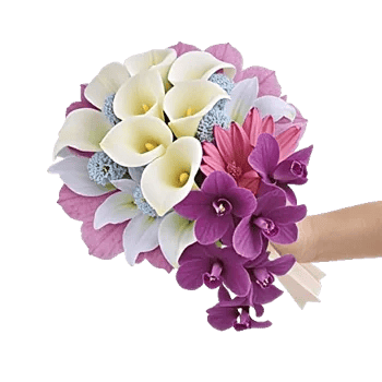 Elegant Calla Lilies