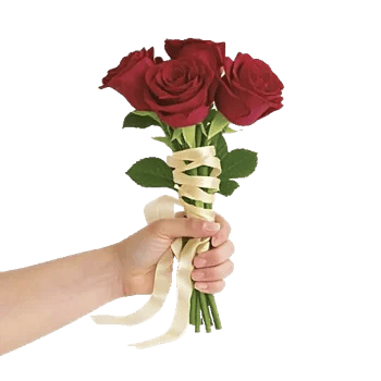 Crimson Rose Elegance