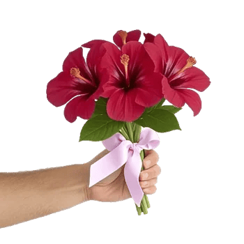 Crimson Blossom Harmony