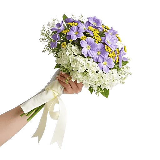 Delicate Petal Cascade