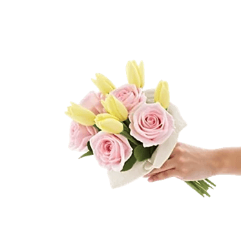 Blossom Harmony Display