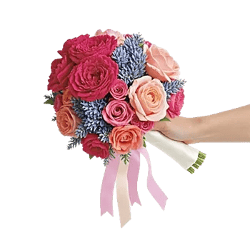 Delicate Petal Cascade
