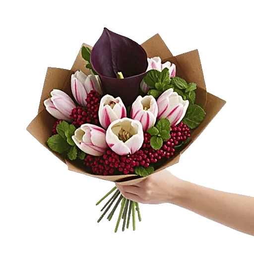 Elegant Calla Lilies