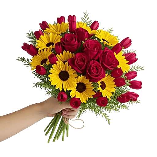 Crimson Rose Elegance