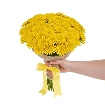 Daisy Meadow Spread