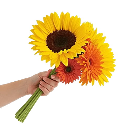 Amber Sunflower Glow