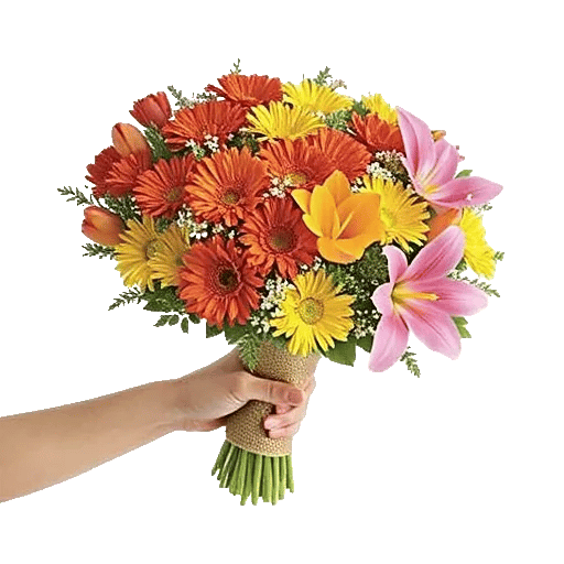 Petal Harmony Bliss