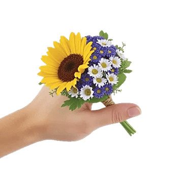 Twinkling Sunflower Dance