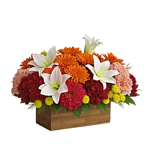 Vibrant Orange Delight