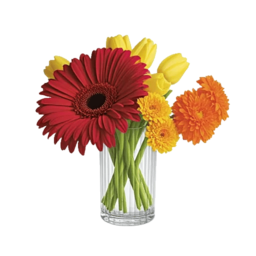 Petal Radiance Bliss