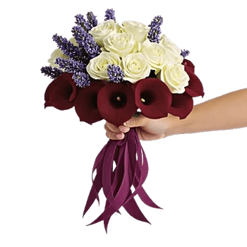 Elegant Calla Lilies