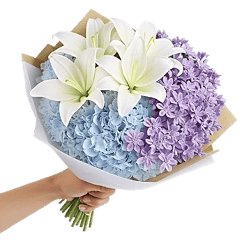 Serene Petal Harmony