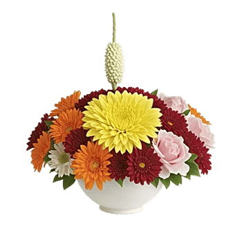 Petal Radiance Bliss