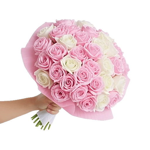 Peony Petal Harmony