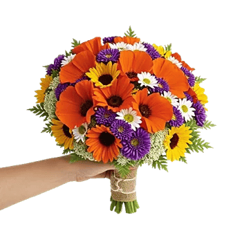 Petal Harmony Bliss