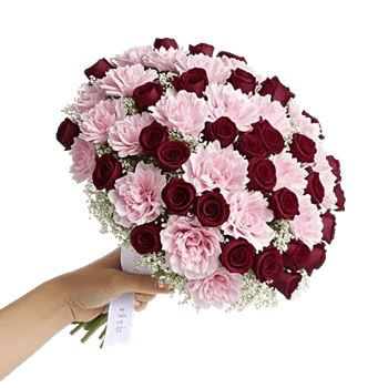 Pastel Pink Roses