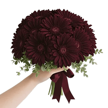 Ruby Petal Cascade