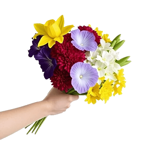 Blossom Harmony Display