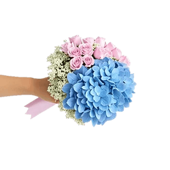 Serene Petal Harmony