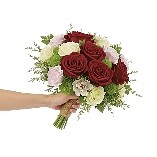 Blushing Rose Symphony