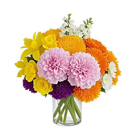 Petal Radiance Bliss