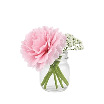 Delicate Petal Cascade