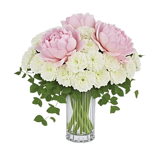 Ivory Blossom Radiance