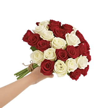 Crimson Rose Elegance