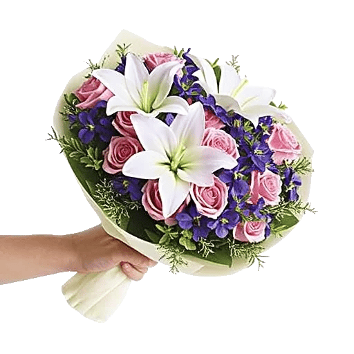 Blushing Rose Symphony