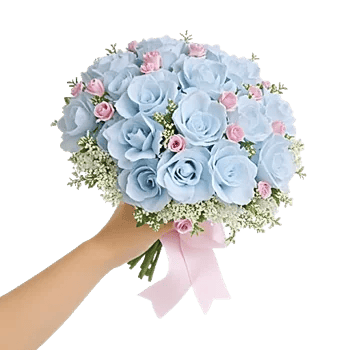 Serene Petal Harmony