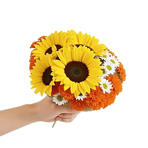 Amber Sunflower Glow