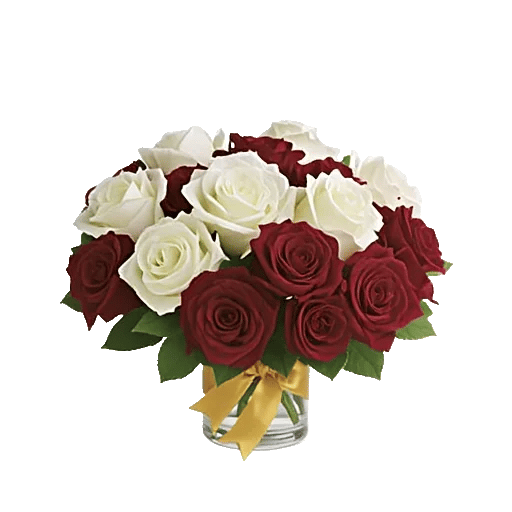 Crimson Rose Elegance