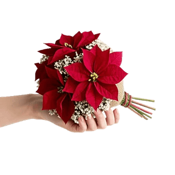 Delicate Petal Cascade